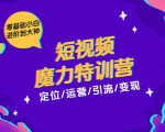 零基础小白进阶到大神《短视频魔力特训营》定位-运营-引流-变现-一号资源库