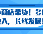 微信小商店带货，爆单多倍收入，长期复利循环！日赚300-800元不等-一号资源库