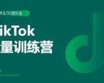 2020最新TikTok流量增长训练营（完结）附PPT-一号资源库