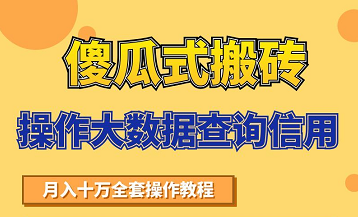 搬砖操作大数据查询信用项目赚钱教程,祝你快速月入6万-一号资源库