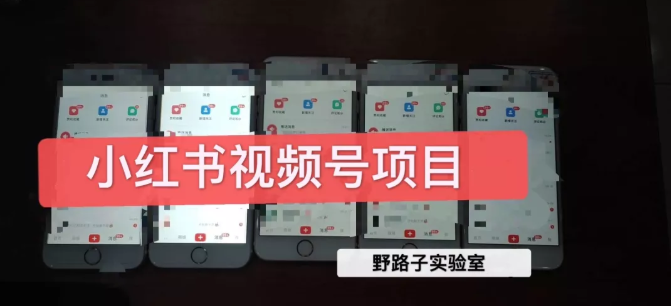 野路子小红书视频号1.0项目，直接上手操作就能赚钱的视频号项目-一号资源库