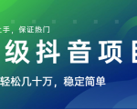 山城先生高级抖音项目：视频轻松几十万，稳定简单，快速上手，保证热门-一号资源库