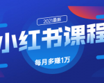 小红书课程:如何利用小红书快速获取客源,每月多赚1万!-一号资源库