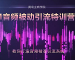 黄岛主·FM音频引流特训营2.0：独家引流模式，单账号50W+播放量，轻松变现-一号资源库