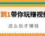 从0到1带你玩赚视频号：这么玩才赚钱，日引流500+日收入1000+核心玩法-一号资源库