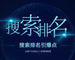 搜索排名引爆点：教你快速掌握各个搜索引擎排名算法，让客户主动找上你的秘笈-一号资源库