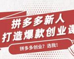 拼多多新人打造爆款创业课：快速引流持续出单，适用于所有新人-一号资源库