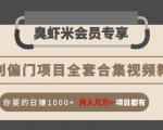 暴利偏门项目全套合集视频教程：你要的日赚1000+月入几万+项目都有-一号资源库