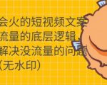 只说话就会火的短视频文案课，从根本上解决没流量的问题-一号资源库