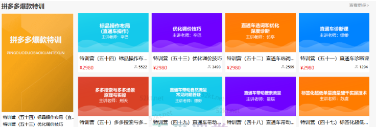 多多大师VIP拼多多运营培训课程价值2980元-一号资源库