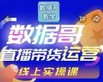 数据哥直播带货运营线上进阶课，让普通人也能靠直播赚钱!-一号资源库