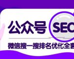 公众号 Seo，微信搜一搜排名优化课，每日被动精准引流上百-一号资源库