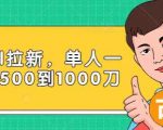 Paypal拉新赚美刀项目，单人一天利润500-1000刀【视频课程】-一号资源库