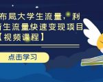 引流布局布局大学生流量，利用 6-9 月新生流量快速变现项目-一号资源库