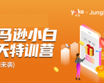 雨课·亚马逊小白特训营第9期 跨境电商挺赚钱的 有朋友已经月入几十万美金-一号资源库