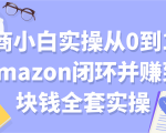 电商小白实操从0到1跑通amazon闭环并赚到一块钱全套实操【付费文章】-一号资源库