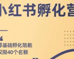勇哥小红书撸金快速起量项目：教你如何快速起号获得曝光，做到月躺赚在 3000+-一号资源库