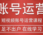 短视频账号运营课程：从话术到短视频运营再到直播带货全流程，新人快速入门-一号资源库
