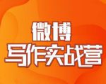 村西边老王·微博超级写作实战营，帮助你粉丝猛涨价值999元-一号资源库