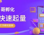 勇哥·小红书撸金快速起量陪跑孵化营,教你在小红书平台实现副业的睡后收入-一号资源库