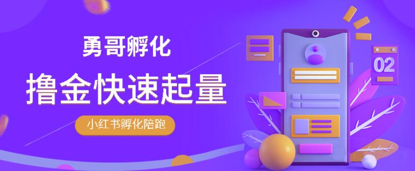 勇哥·小红书撸金快速起量陪跑孵化营，教你在小红书平台实现副业的睡后收入-一号资源库