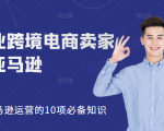 职业跨境电商卖家聊亚马逊:亚马逊运营的10项必备知识,12堂课让你看懂亚马逊运营-一号资源库