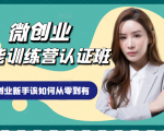 微创业全能训练营认证班课程，从理论知识与实际案例手把手指导创业新手如何从零到有-一号资源库