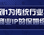 从0到1为传统行业打造抖音商业IP简单高效的保姆级攻略-一号资源库