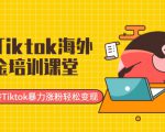 最新Tiktok海外掘金培训课堂：带你玩转Tiktok暴力涨粉轻松变现-一号资源库
