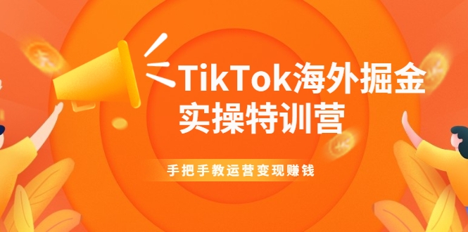 TikTok海外掘金实操特训营：手把手教运营变现赚钱-一号资源库