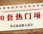 30套热门项目：单日最高收入过万 (网赚项目、朋友圈、涨粉套路、抖音、快手)等-一号资源库