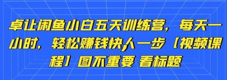 卓让闲鱼小白五天训练营，每天一小时，轻松赚钱快人一步-一号资源库