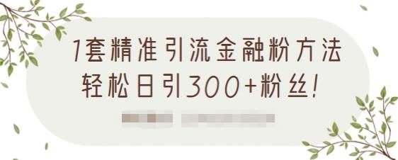 1套精准引流金融粉方法，轻松日引300+粉丝-一号资源库