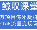 鲸叹号·海外TIKTOK训练营，百万项目海外版抖音tiktok流量变现玩法-一号资源库