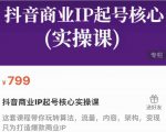 抖音商业IP起号核心实操课，带你玩转算法，流量，内容，架构，变现-一号资源库
