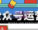 零零已久·从0-1运营公众号，零基础小白也能上手，系统性了解公众号运营-一号资源库