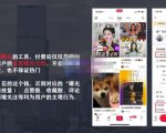 麦子互娱短视频带货·0基础做好物分享账号，无需出镜无需货源无需拍摄-一号资源库