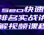 seo快速排名实战讲解视频课程，揭秘seo快排原理-一号资源库