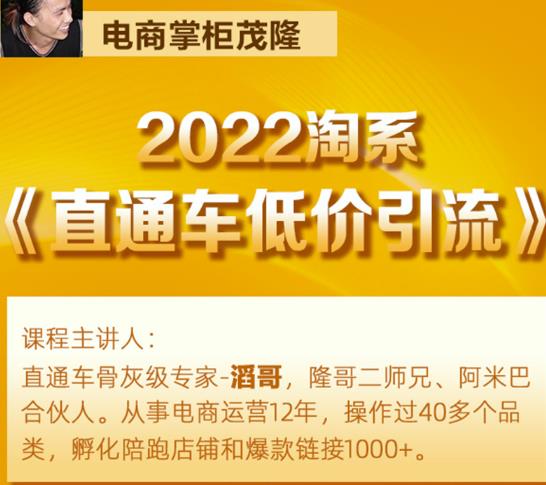 茂隆2022直通车低价引流玩法，教大家如何低投入高回报的直通车玩法-一号资源库