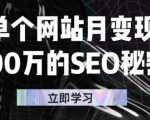 单个网站月变现100万的SEO秘密，百分百做出赚钱站点-一号资源库