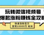 玩转微信视频号爆款涨粉赚钱全攻略，快速涨粉百万变现万元秘诀-一号资源库