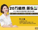 叶小鱼21天短视频文案拆书营，学完轻松搞定各类书单短视频文案-一号资源库