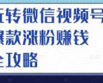 玩转微信视频号爆款涨粉赚钱全攻略，让你快速抓住流量风口，收获红利财富-一号资源库