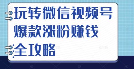玩转微信视频号爆款涨粉赚钱全攻略，让你快速抓住流量风口，收获红利财富-一号资源库