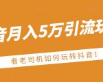 老古董·抖音月入5万引流玩法，看看老司机如何玩转抖音(附赠：抖音另类引流思路)-一号资源库