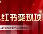 渣圈学苑·小红书虚拟资源变现项目，一起捞钱掘金价值1099元-一号资源库