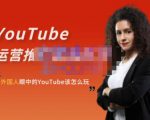外国人眼中的YouTube该怎么玩？Elisa·YouTube运营推广实战技巧-一号资源库