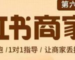 贾真-小红书商家营第6期商家版，21天带货陪跑课，让商家丢掉付流量-一号资源库