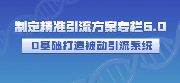 制定精准引流方案专栏6.0，0基础打造被动引流系统-一号资源库