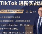 大山老师TikTok进阶实战课:账号详解,流量运营,实战变现,助力你成功出海-一号资源库